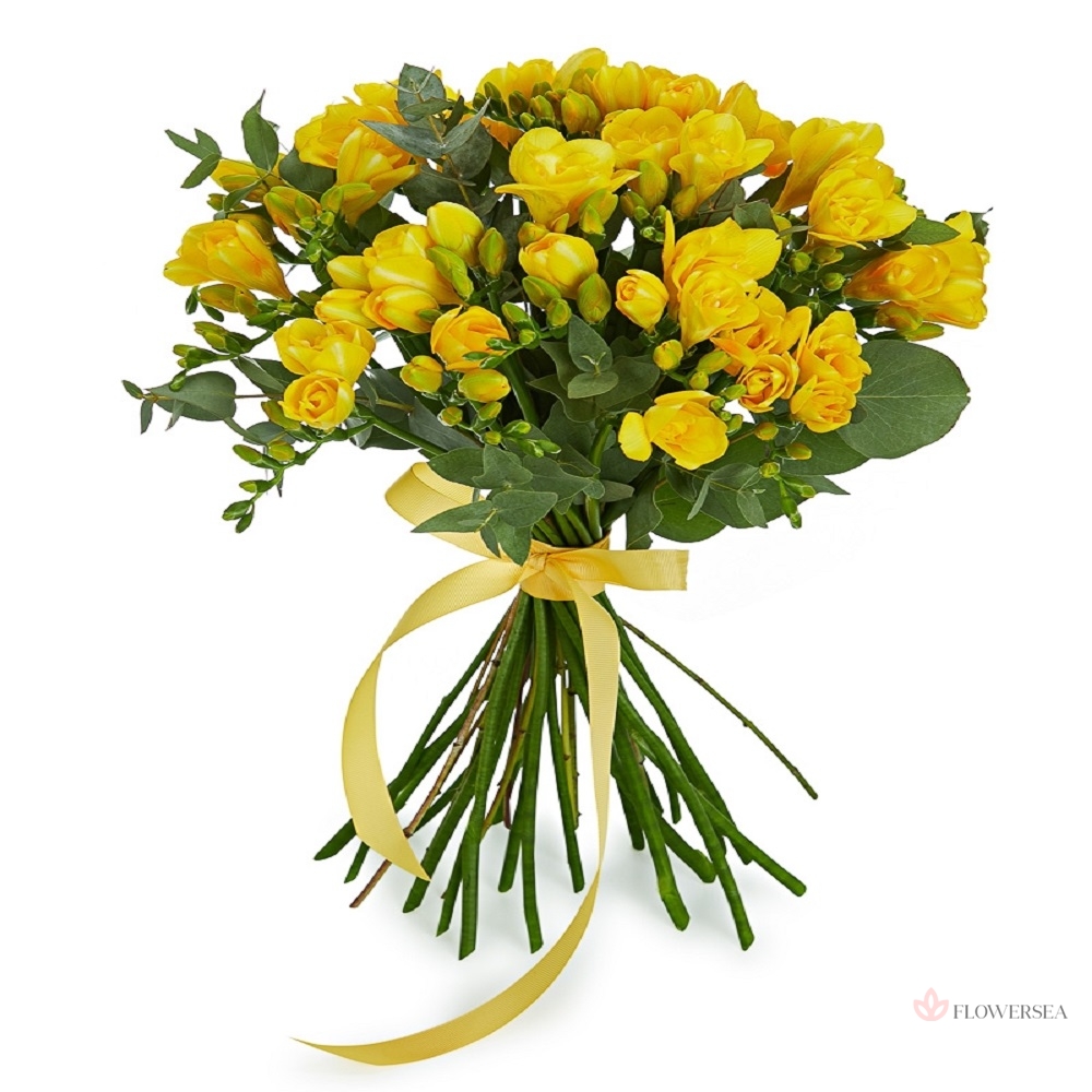 19 ������ �����