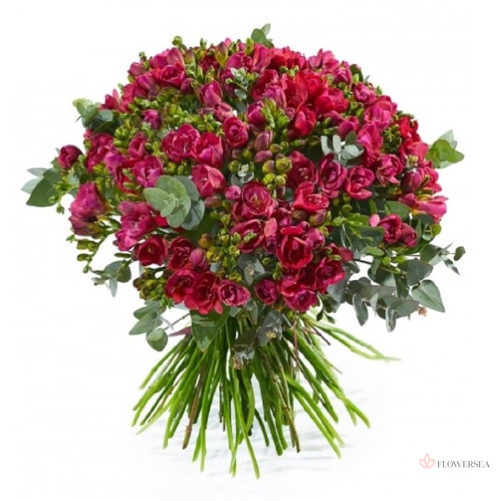 51 ������� �����