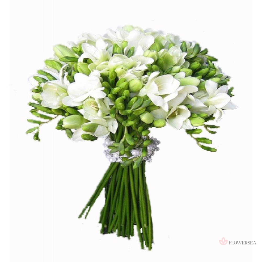 39 ���� �����