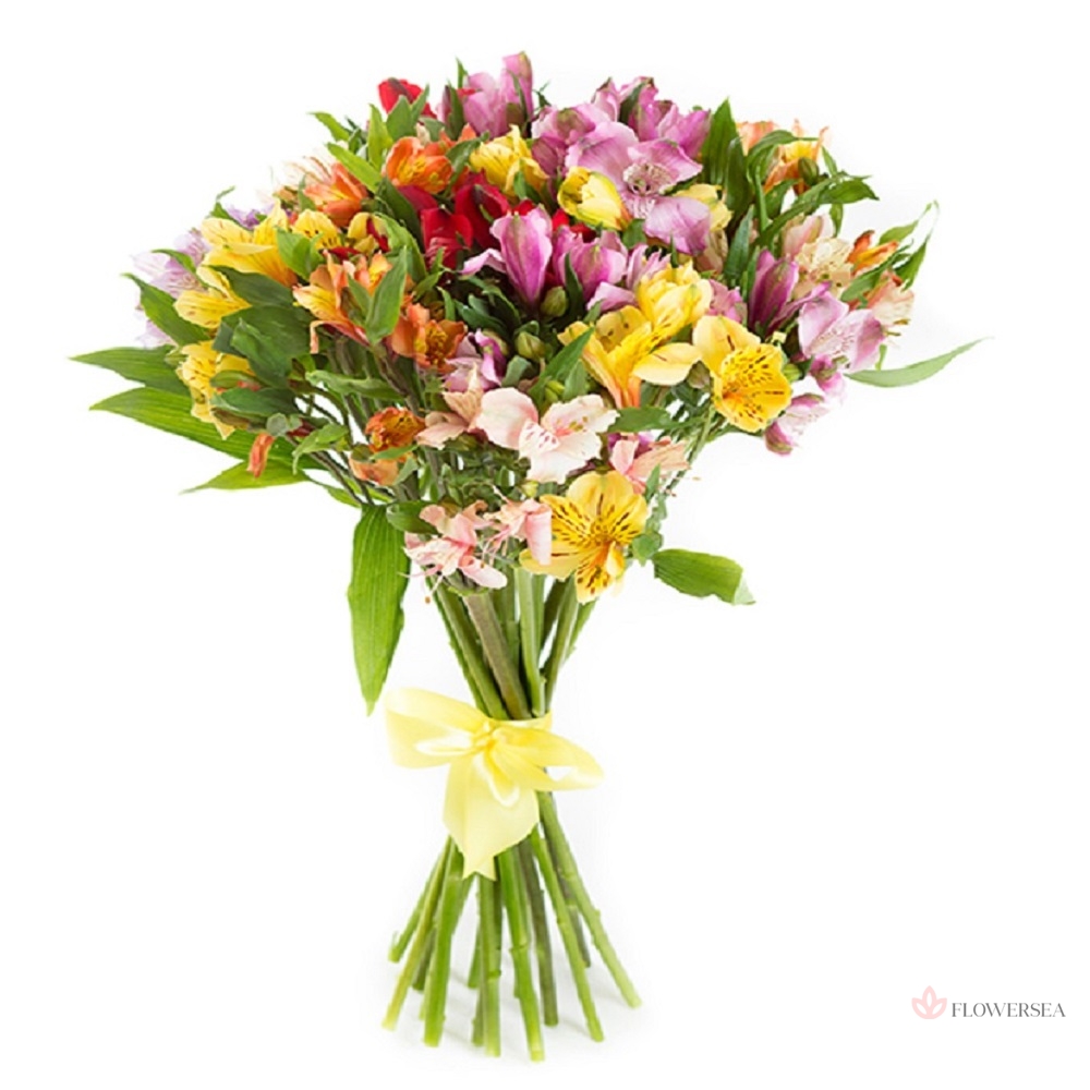 9 �������������� �����������