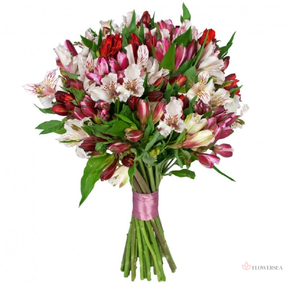 19 �������� � ���� �����������