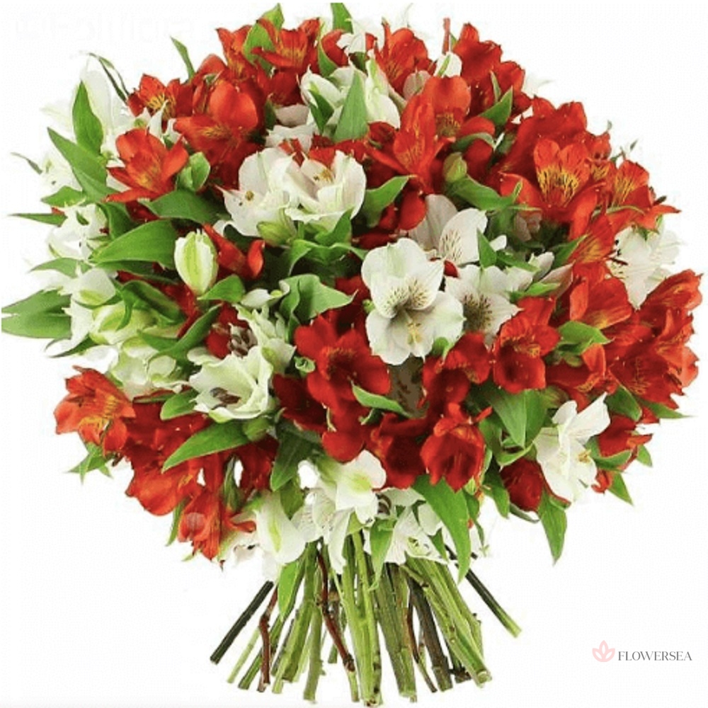 29 �������� � ���� �����������