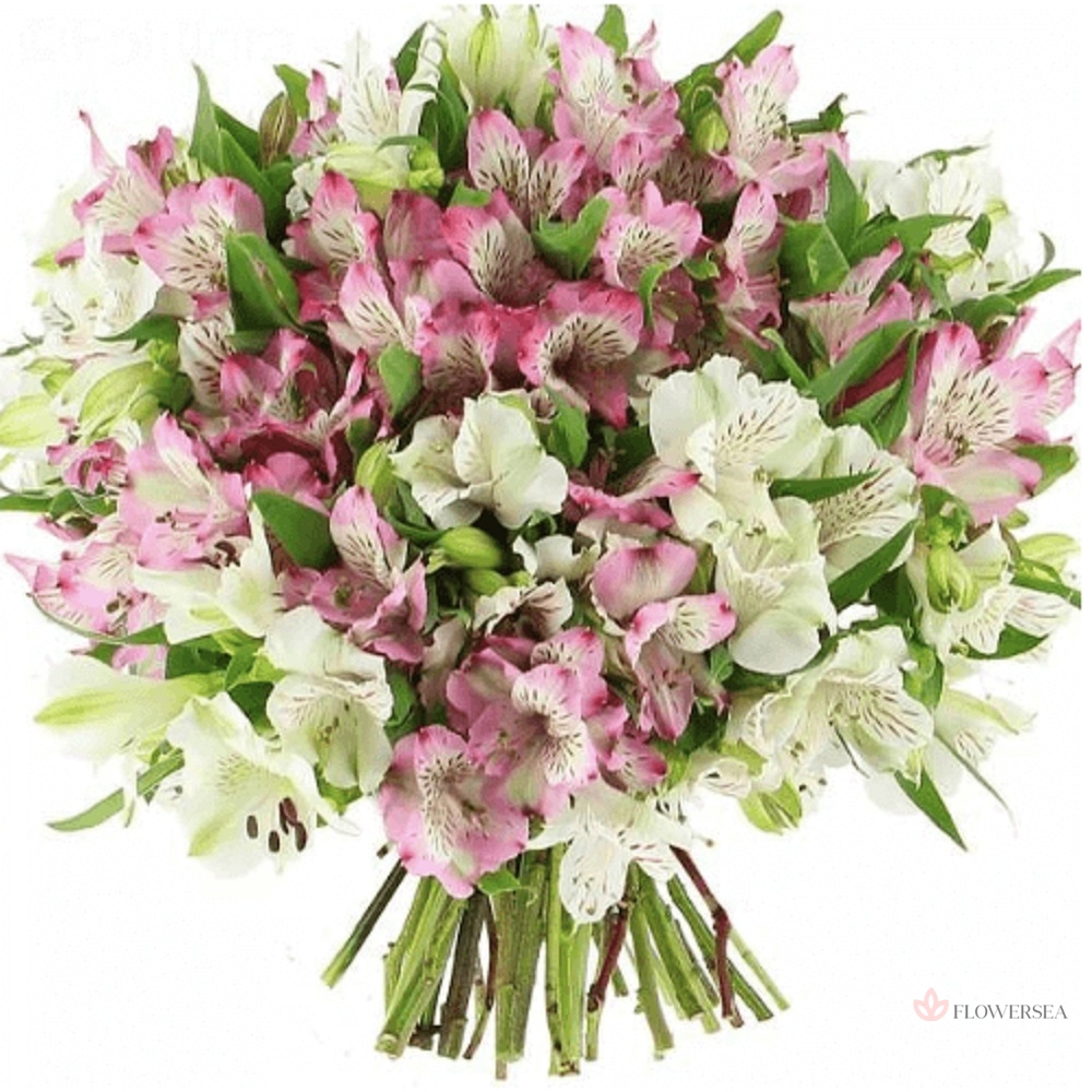 29 ���� � ������� �����������