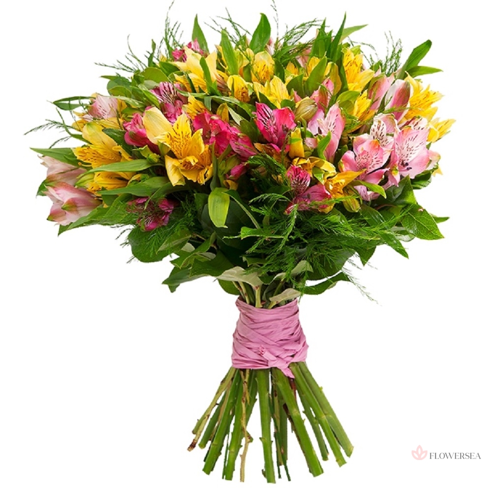 15 ����� �����������