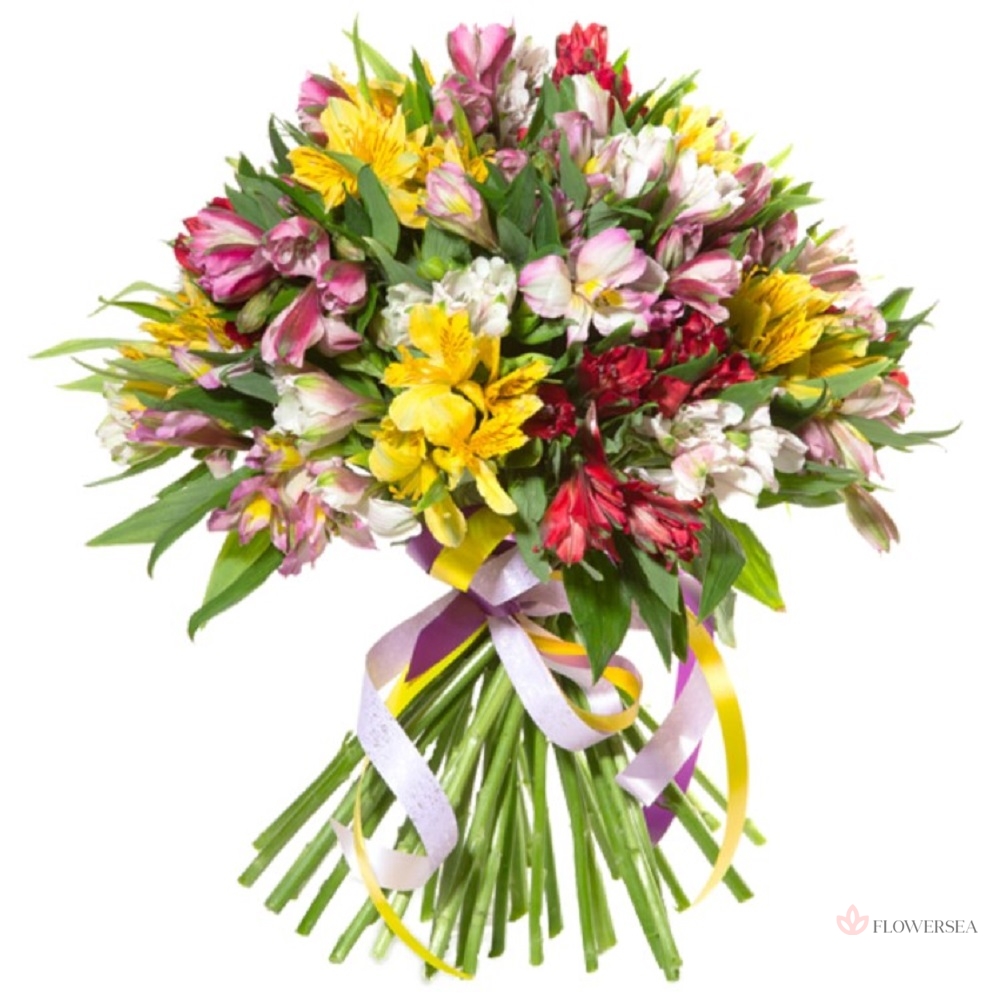 19 �������������� �����������