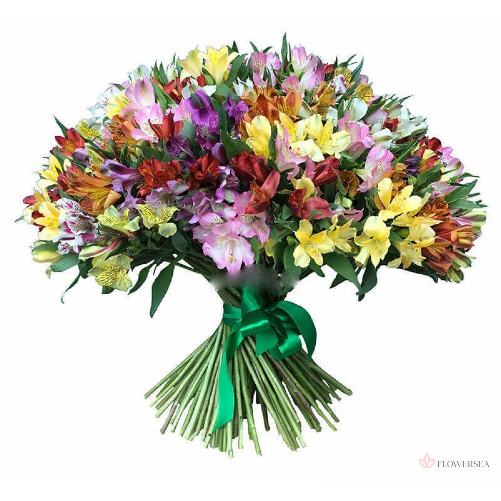 25 �������� ��������� �����������