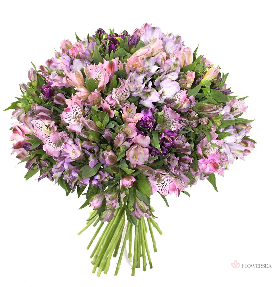 39 �������� �����������