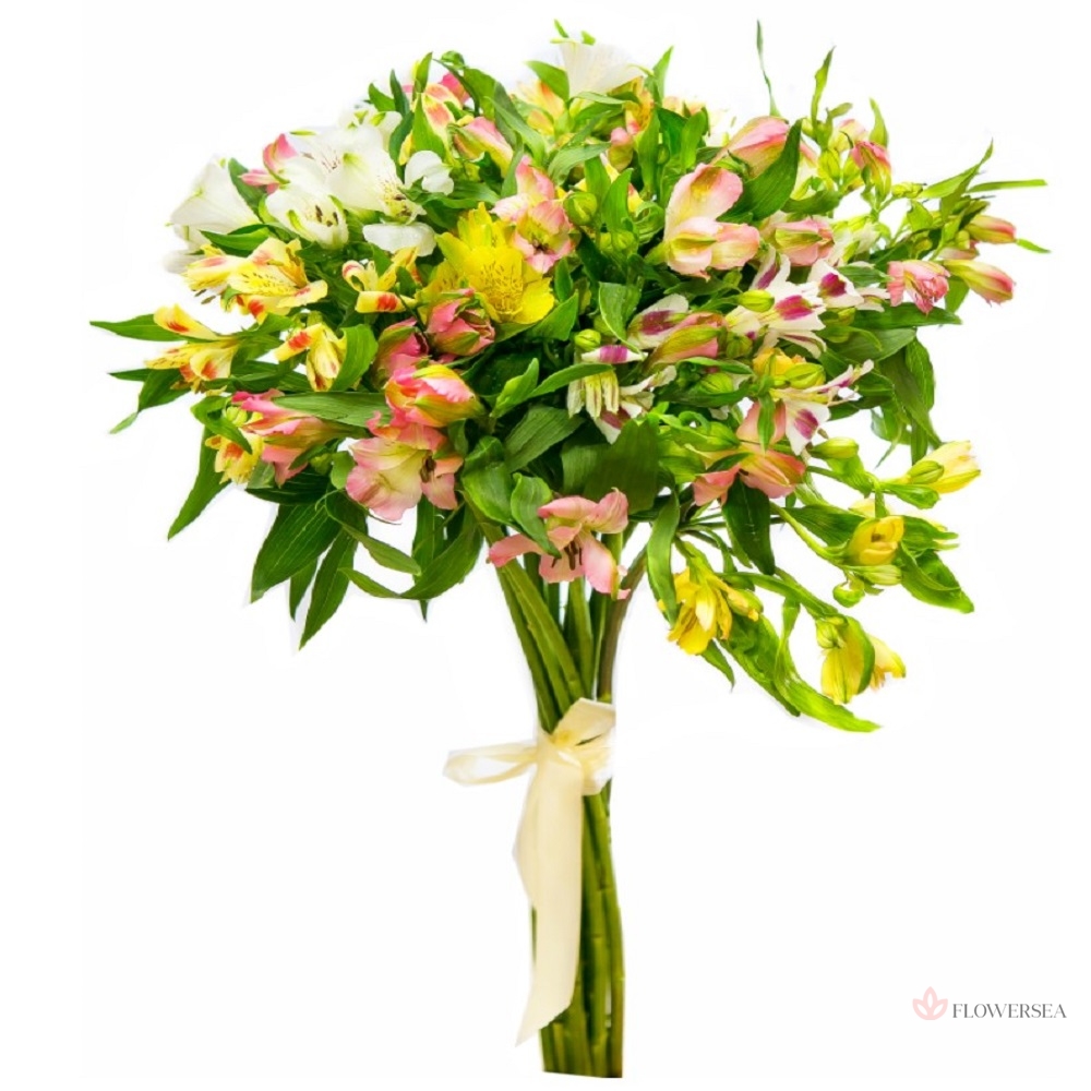 9 ��������� ����� �����������