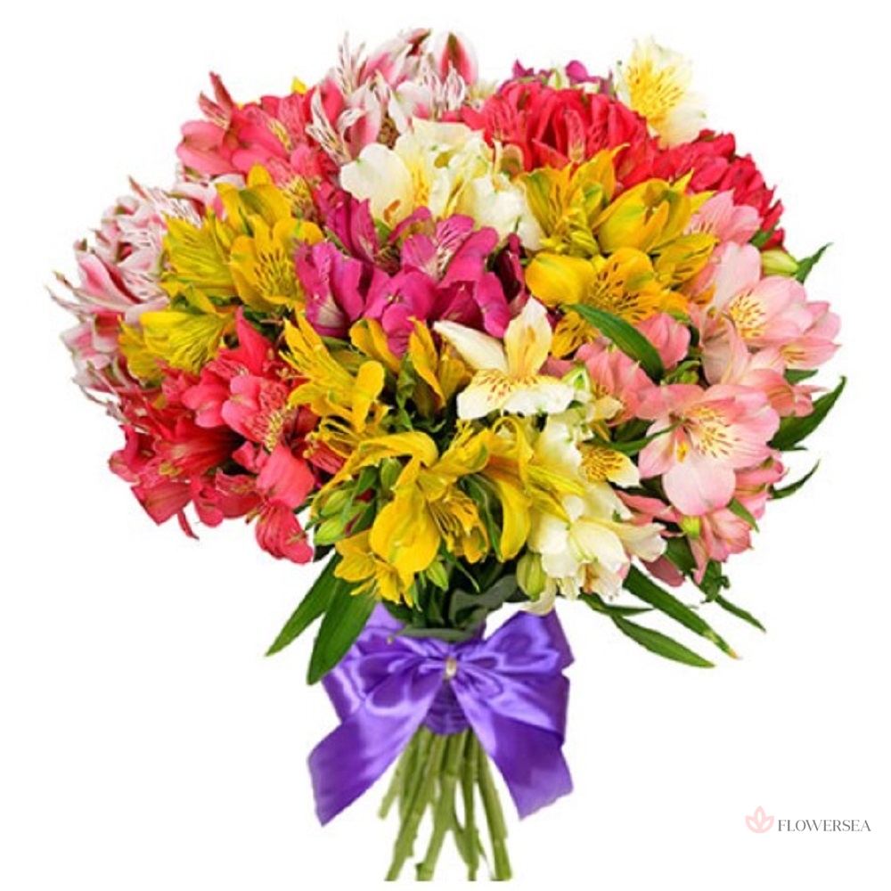 9 ��������� �����������