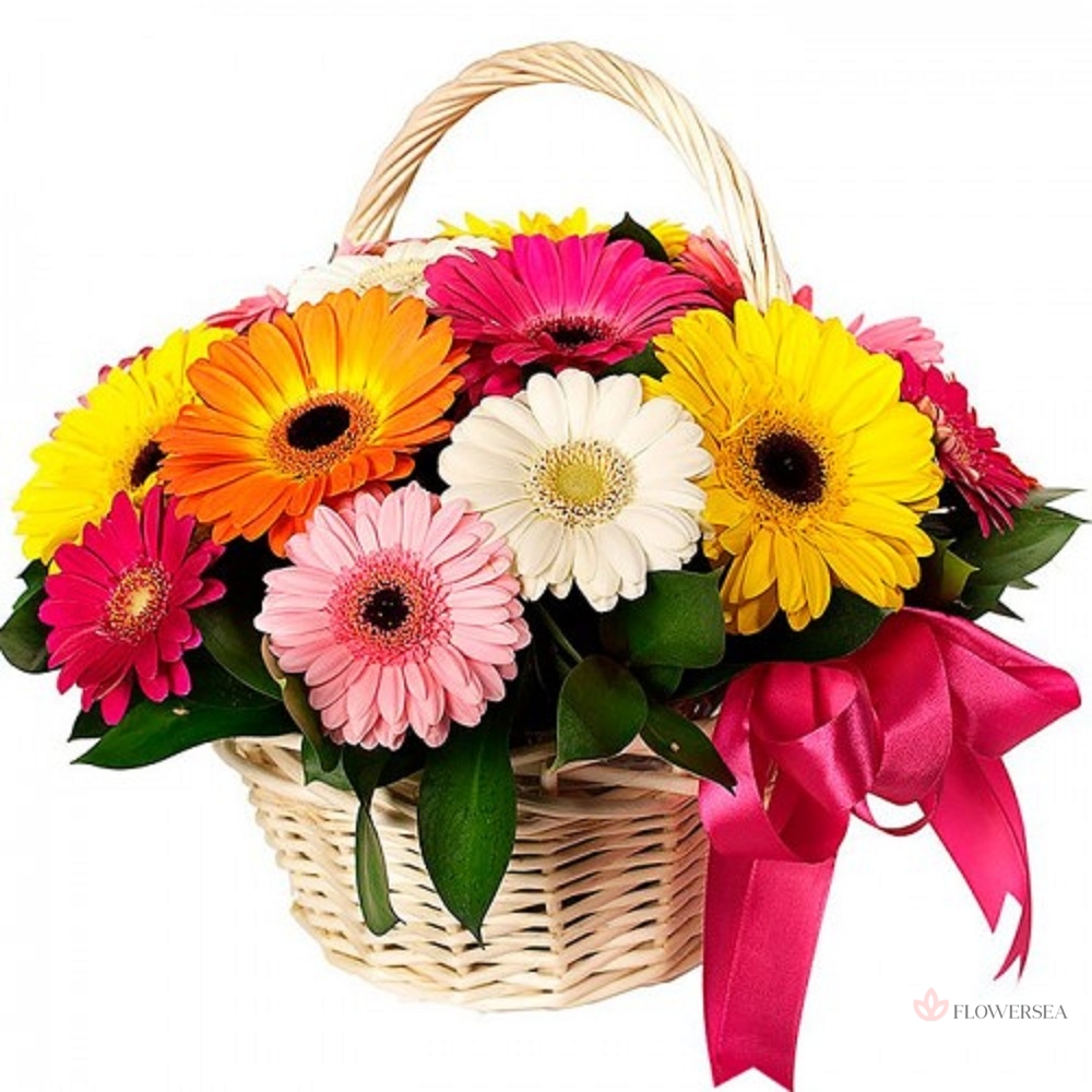 ����� � 15 ������