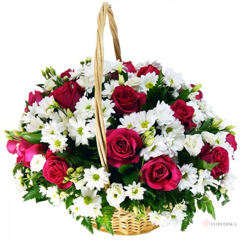 ����� ���� 