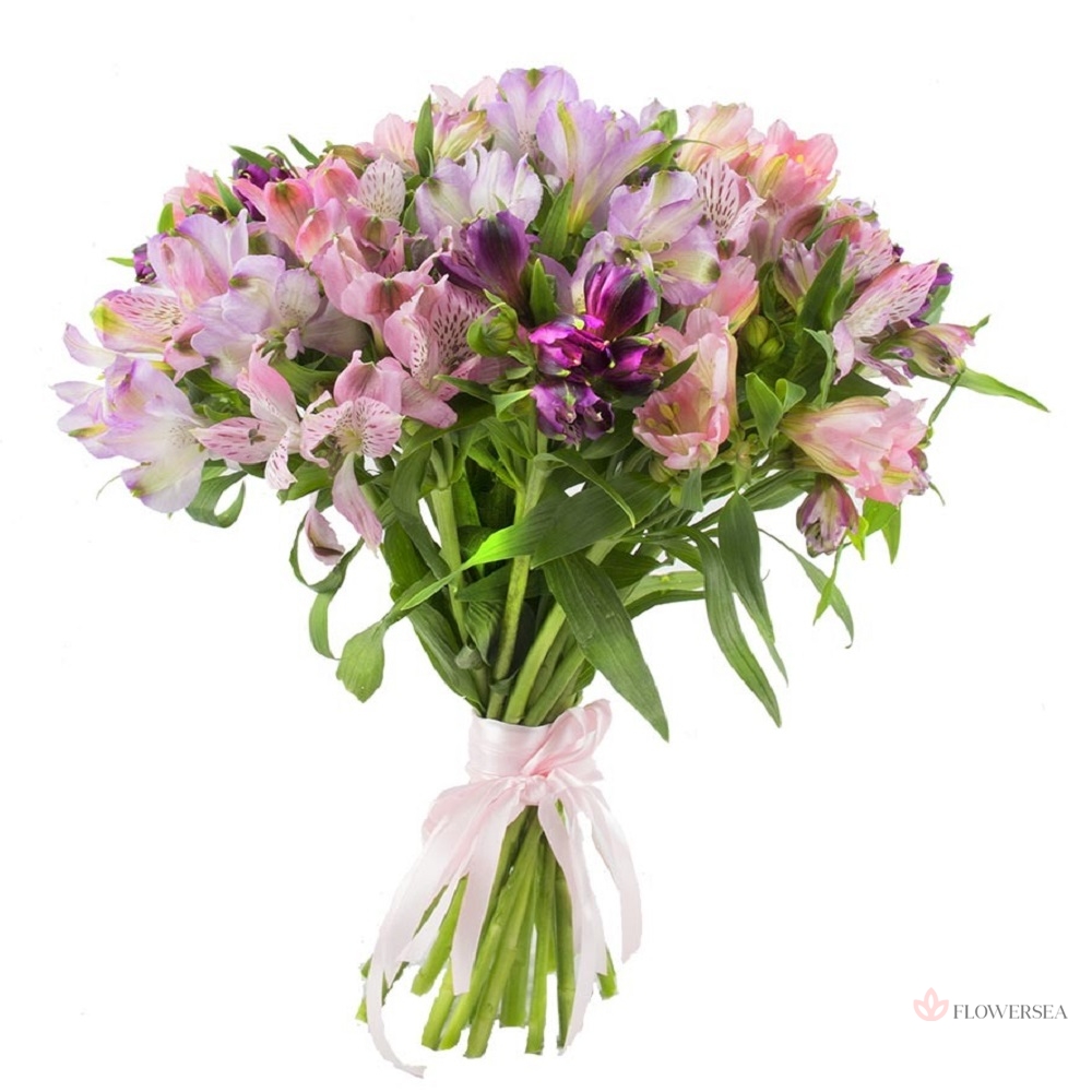 9 ������ �����������