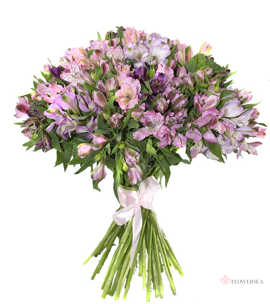 19 �������� ��� �����������