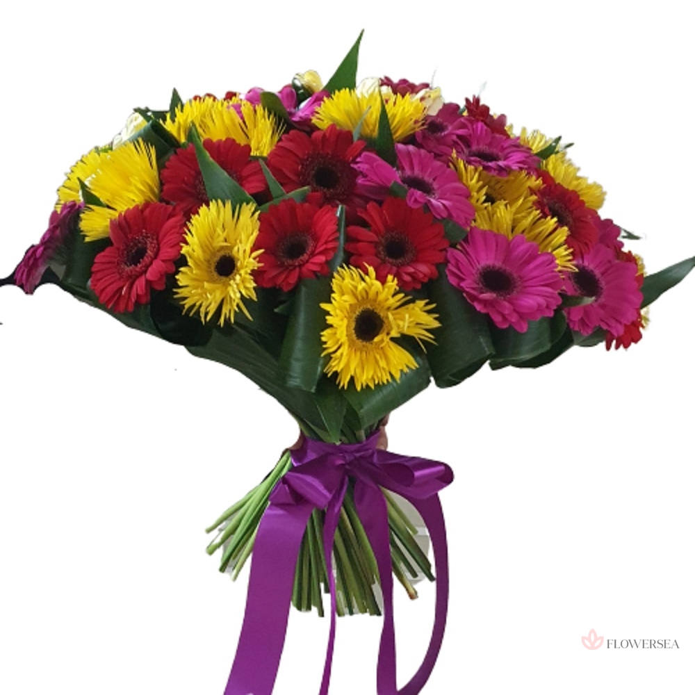 ����� � 41 �������