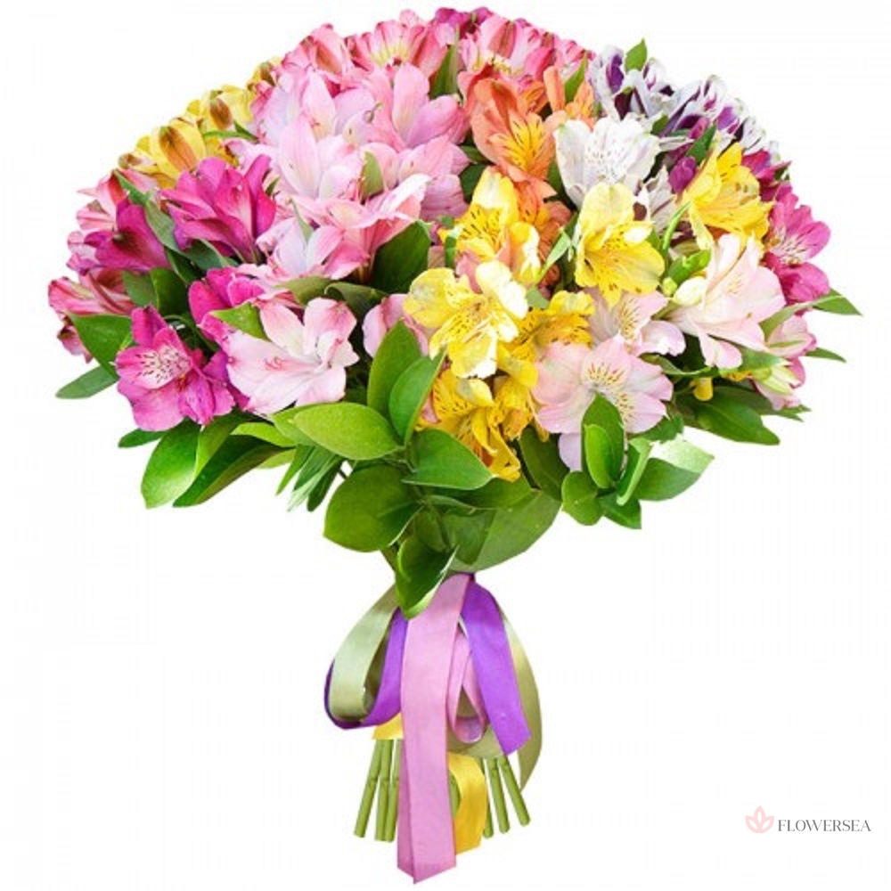 9 ��� �����������