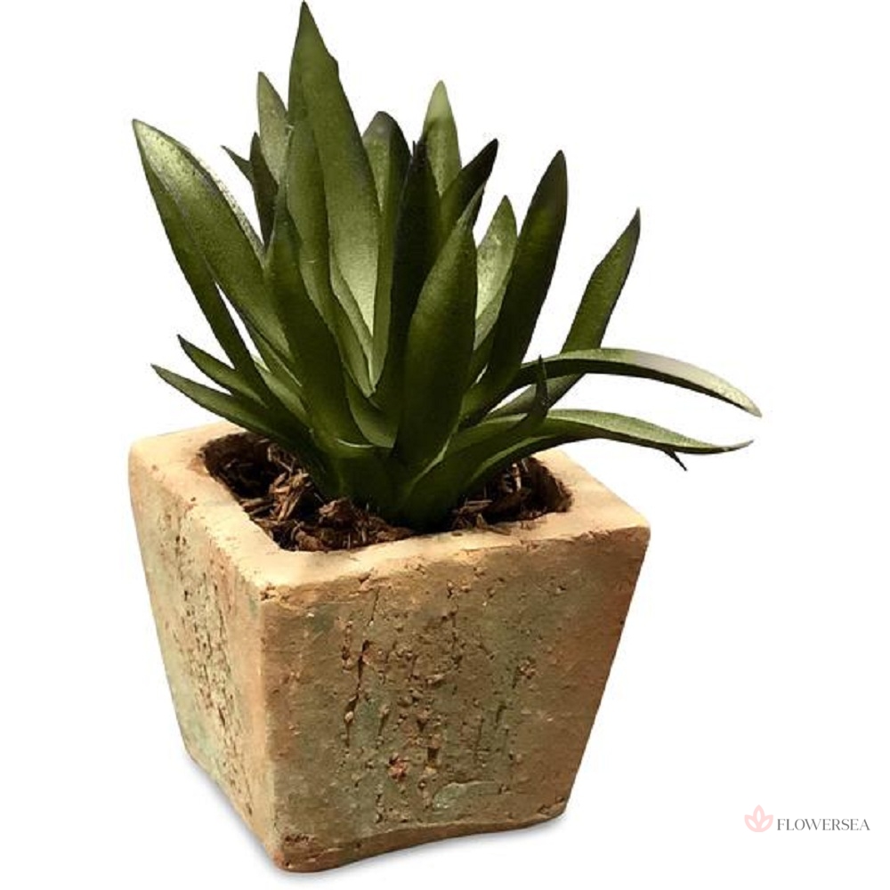 ��������� �����