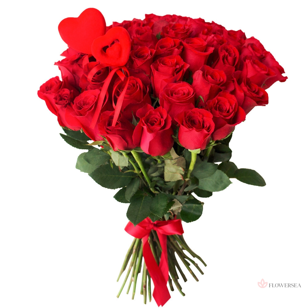 19 ��������� ��� ������