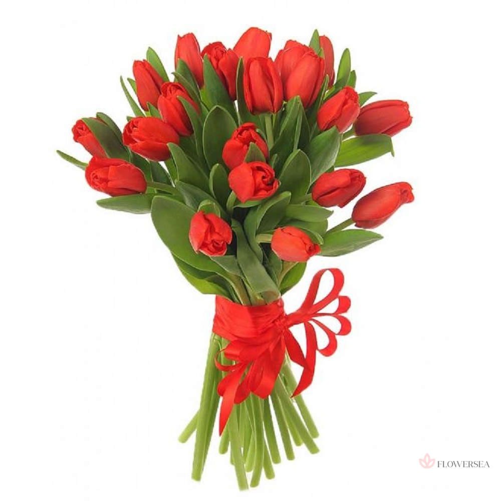 19 ������� ���������