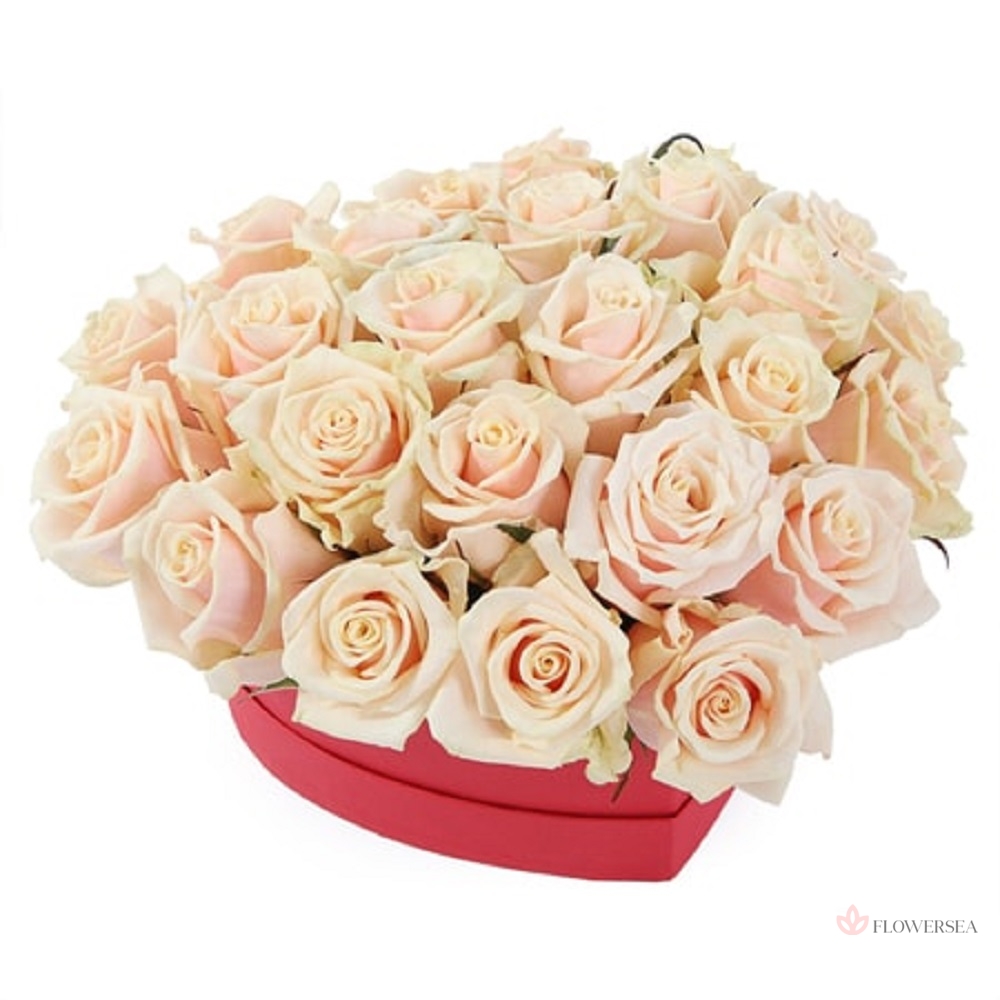 21 ������ ����