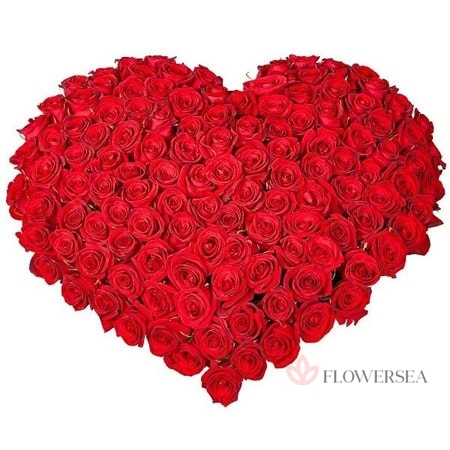 ������ �� 101 ������� ����