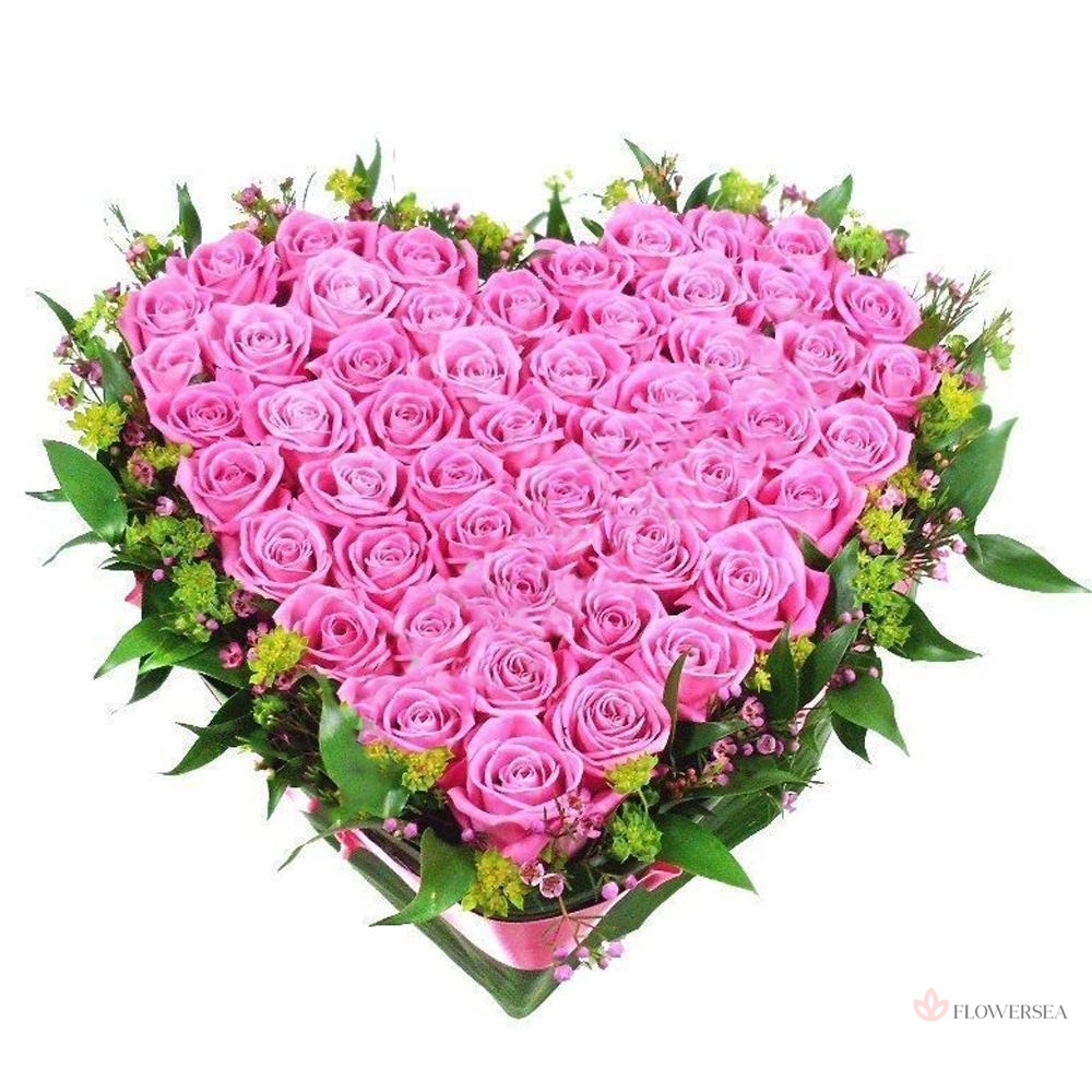 51 ������� ���� � ����� ������