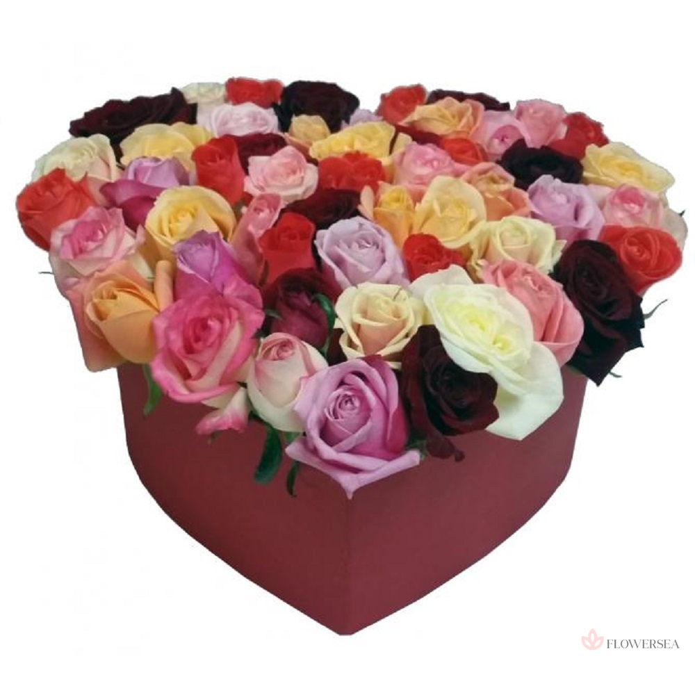 ������ � 51 ������������ ����