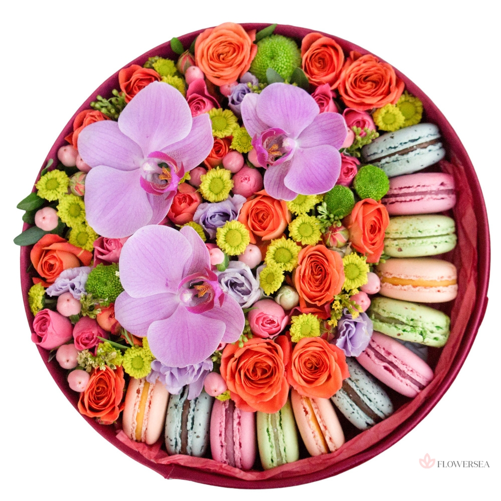 ��������� �������