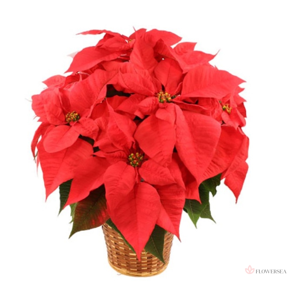 ��������� � �����