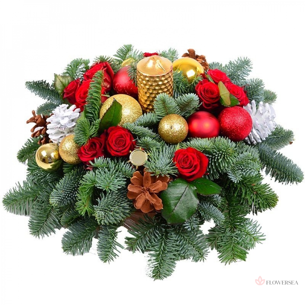 ���������� 12