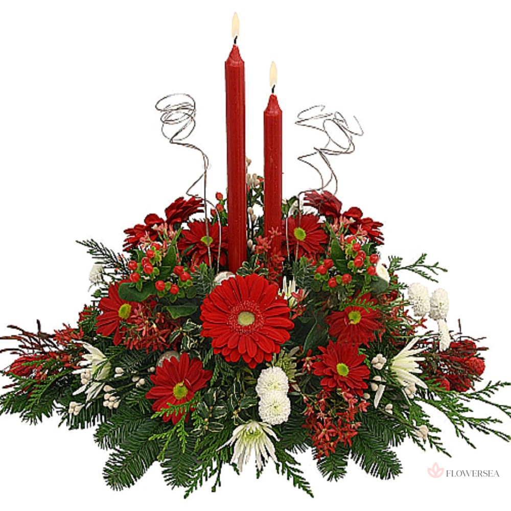 ���������� 24