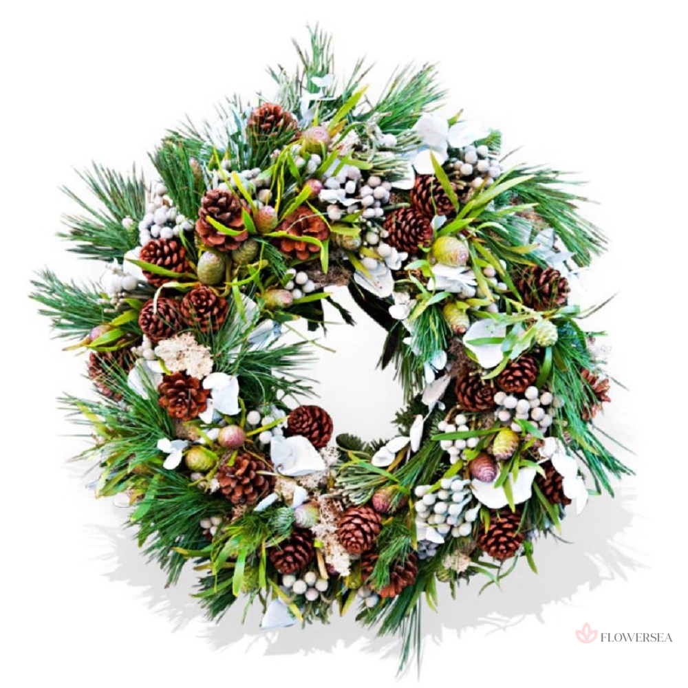 �������������� �����