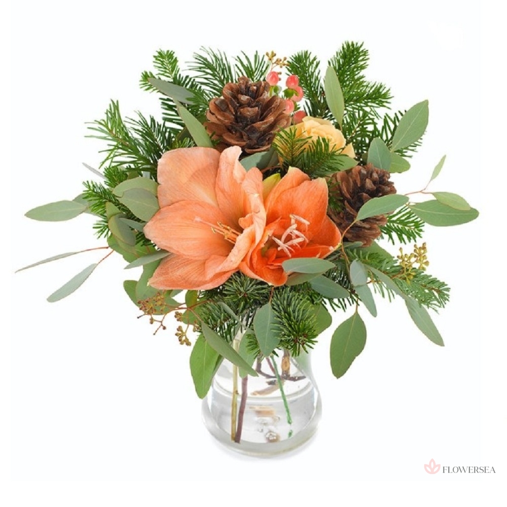 ����� ���������