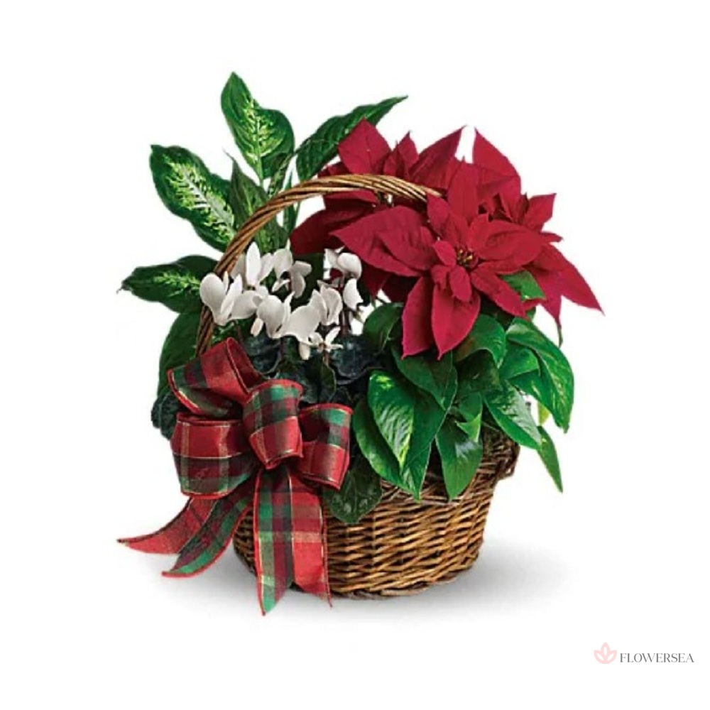 ��������� � ��������