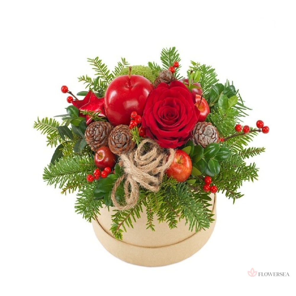 ���� �� ���������