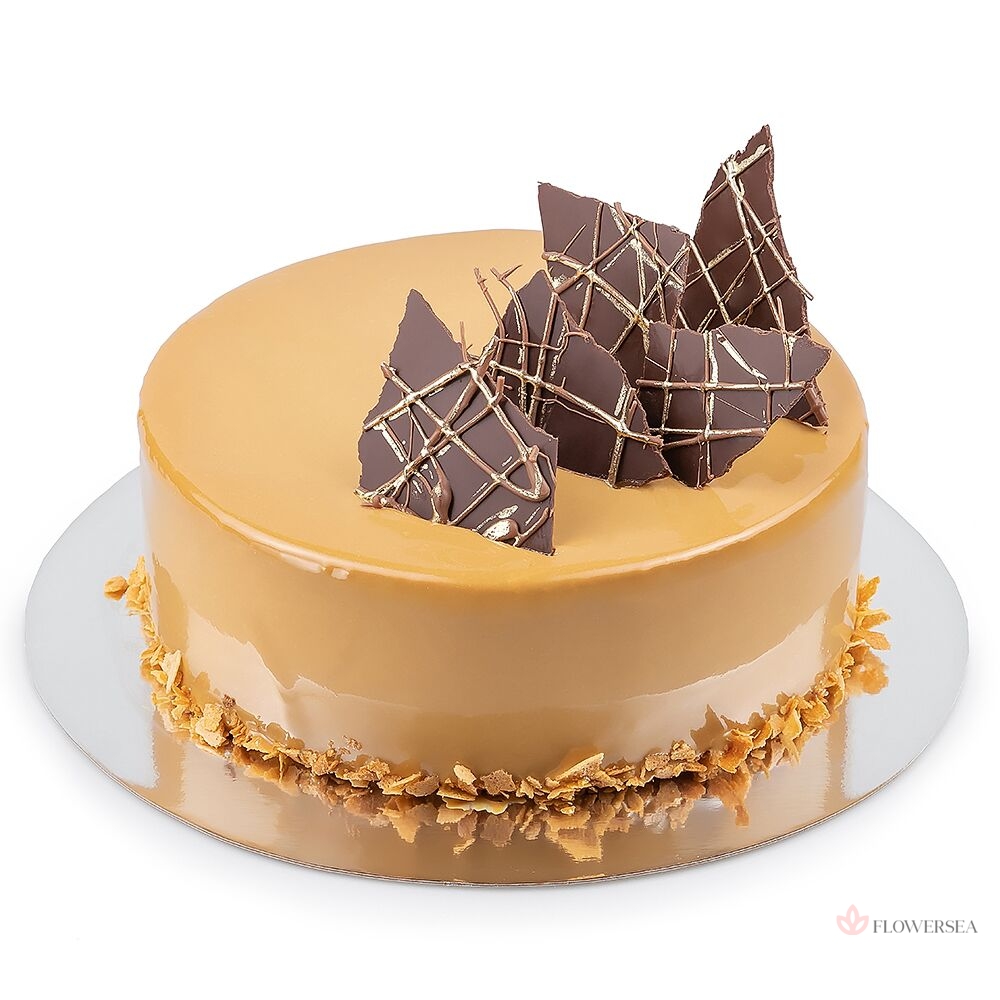 ���� ��������-�����