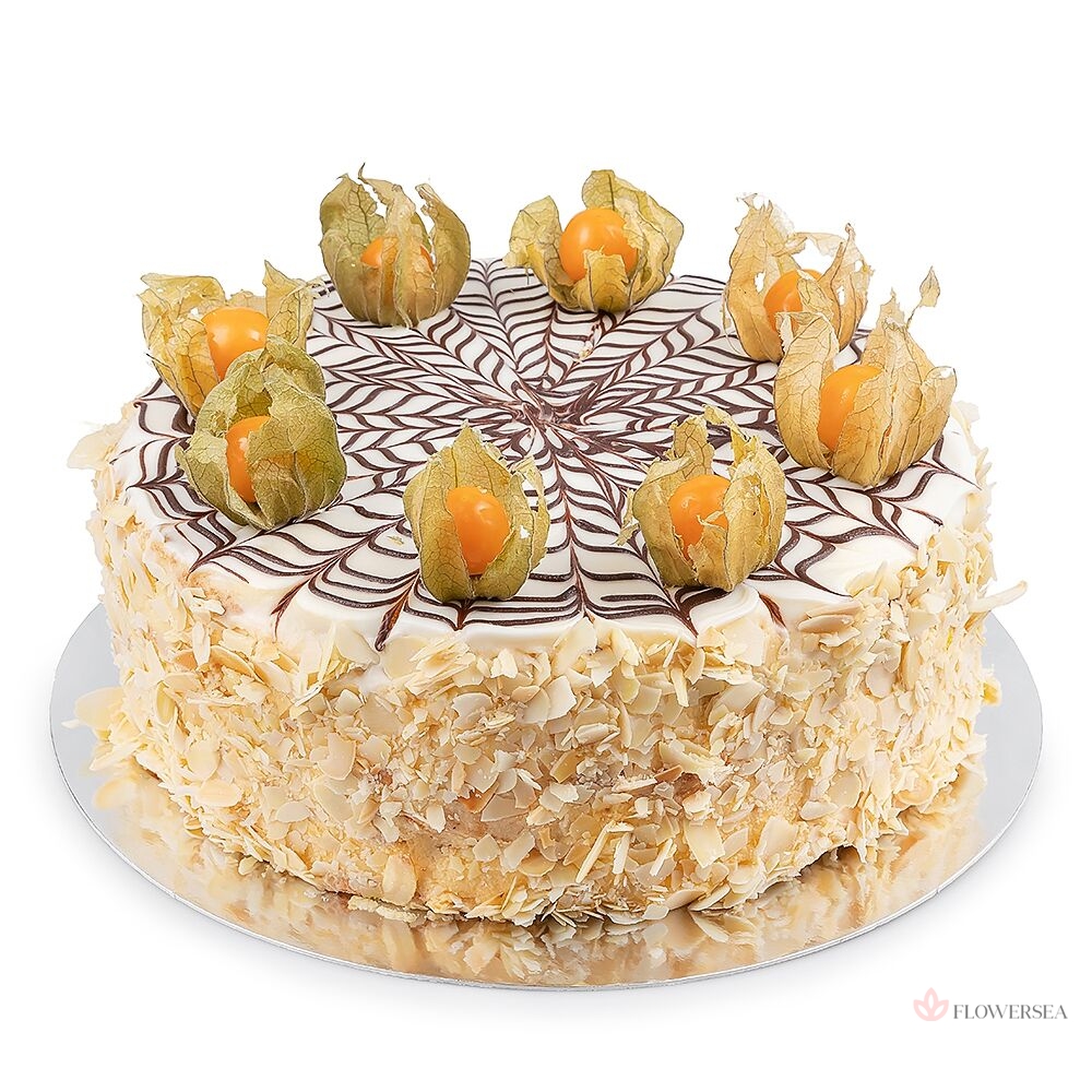 ���� ��������