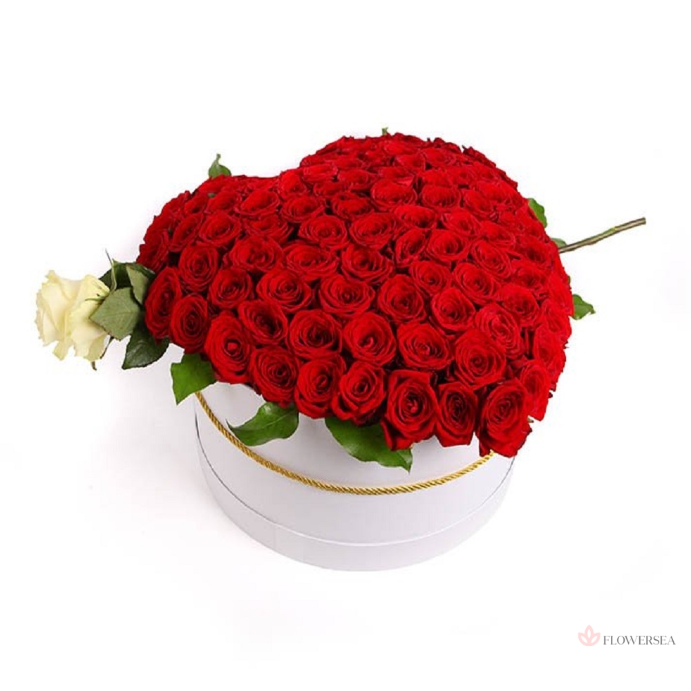 101 ���� � ���� ������