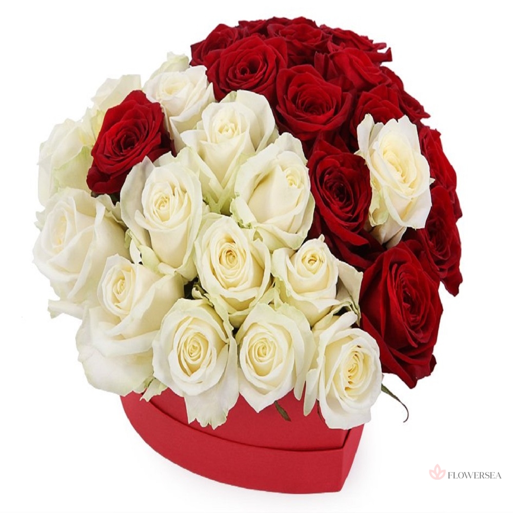 29 ������� � ����� ��� � ������� �������