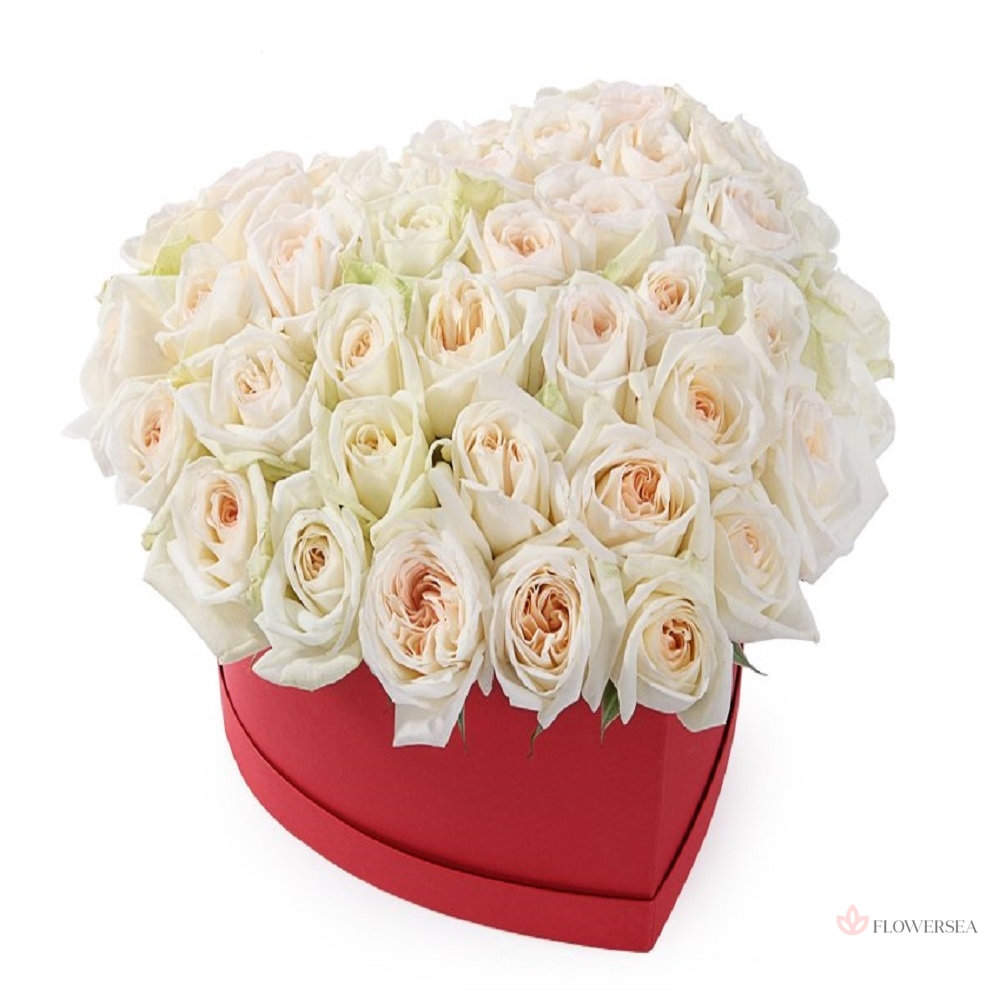 49 ��� � ������