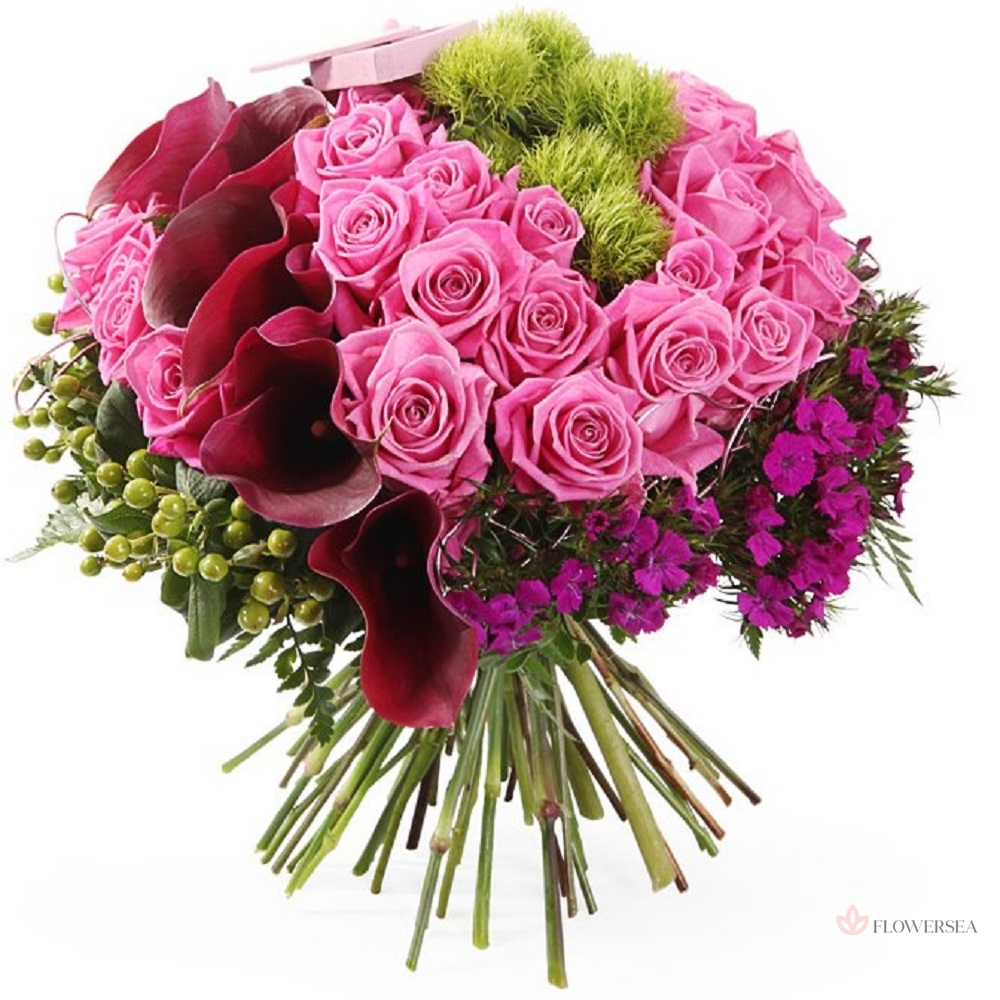 ����� ���������