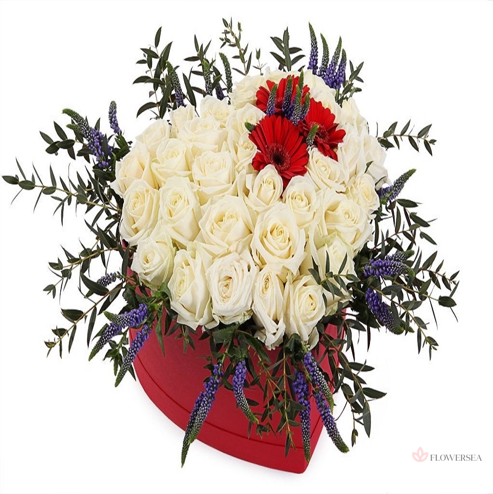 ���������� ������������