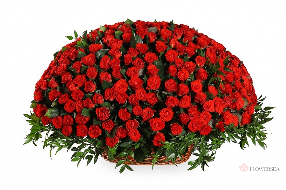 ����� � 101 �������