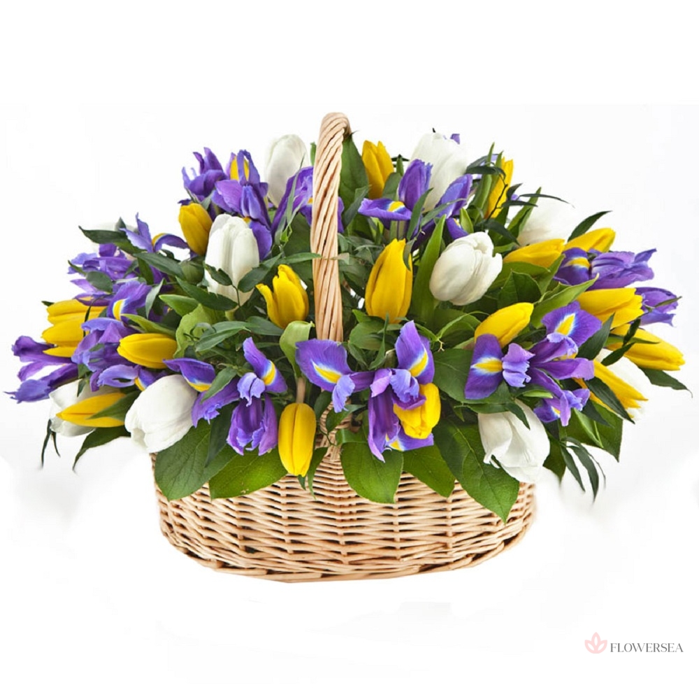 ����� � ����� �� ���������