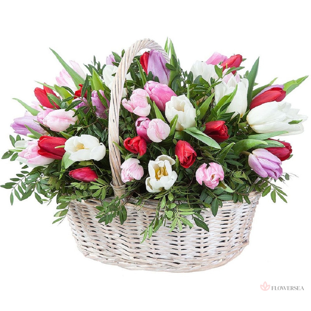 ����� � 51 ��������