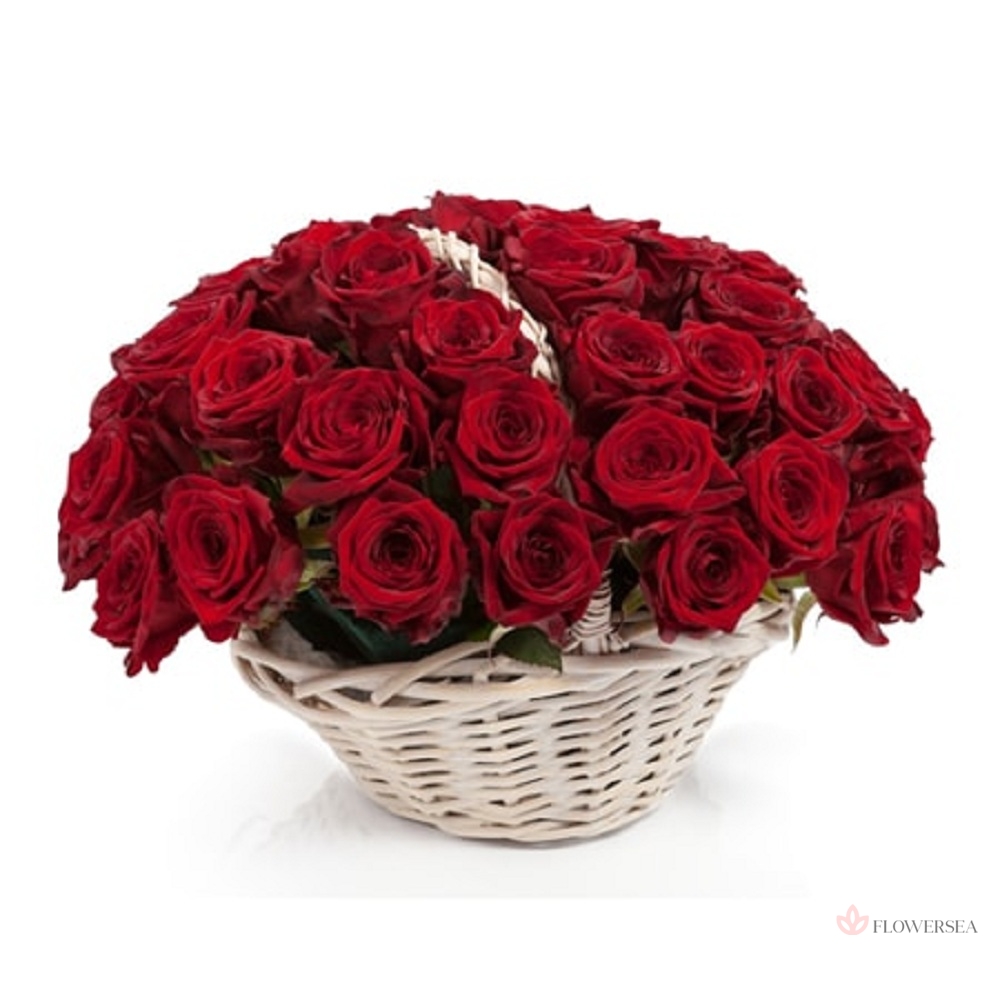 ����� � 51 �������