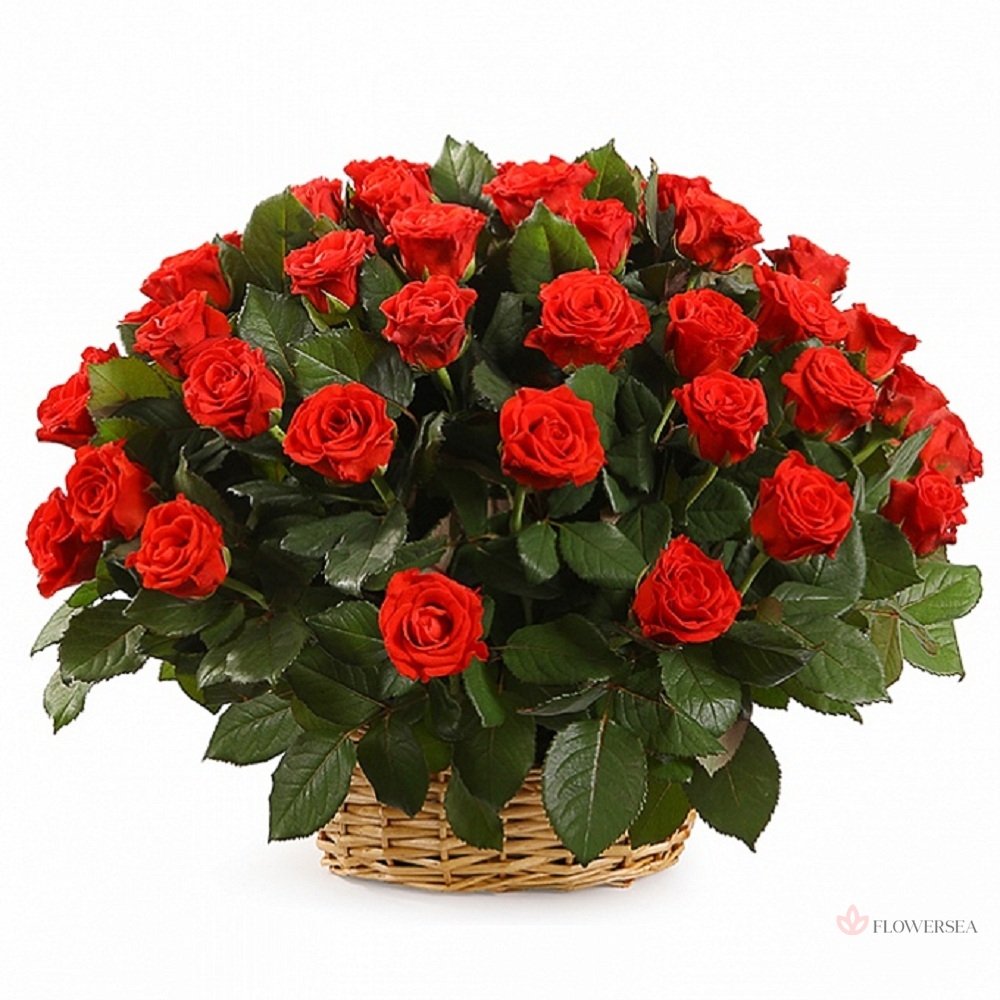 ����� � 51 ������� ��� ����