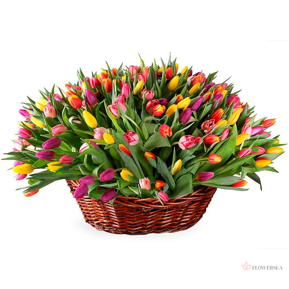 г����������� �������� � ������