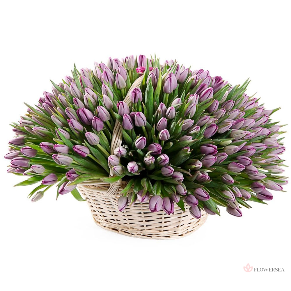 ����� � 101 ����������� ��������