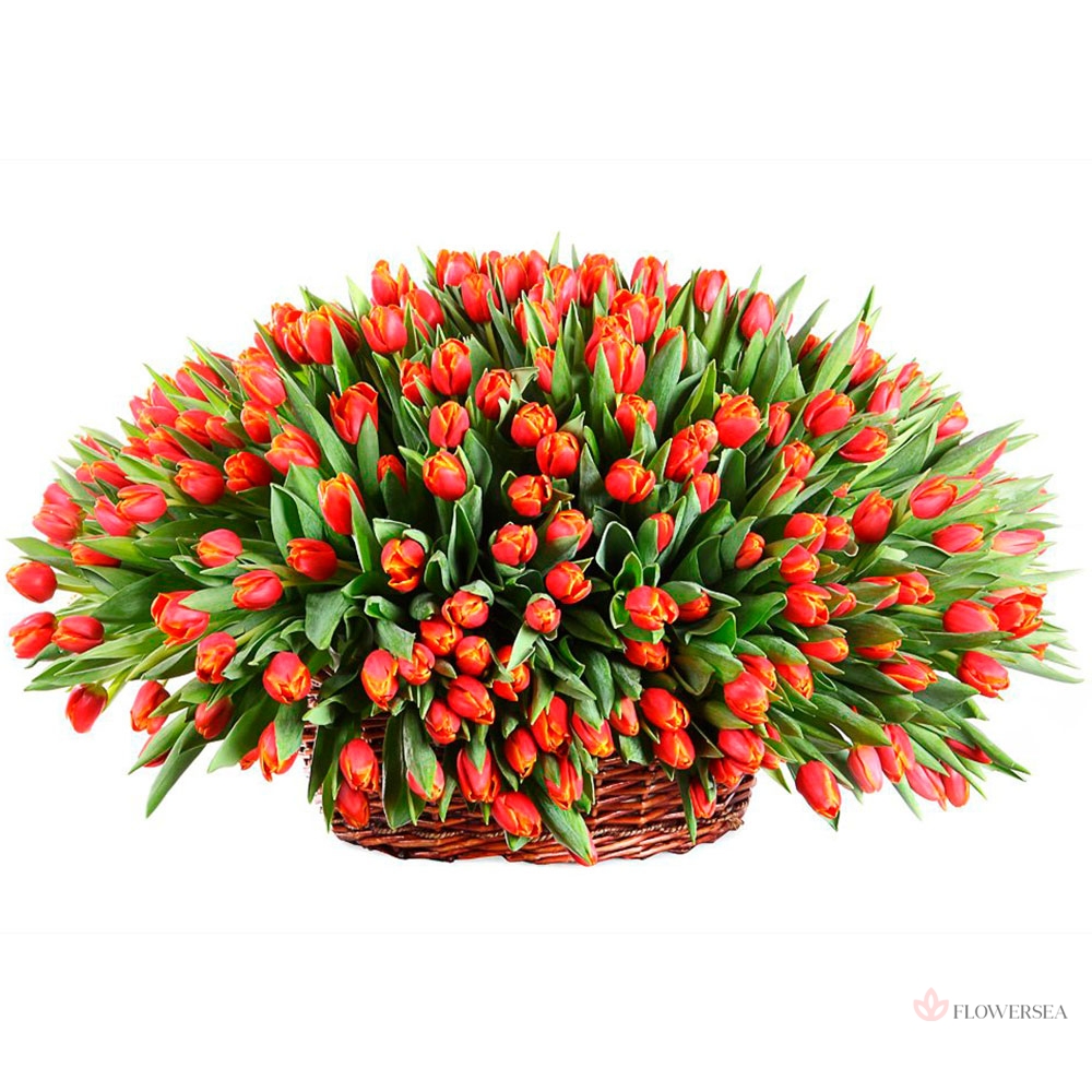 101 �������� ������� � ������