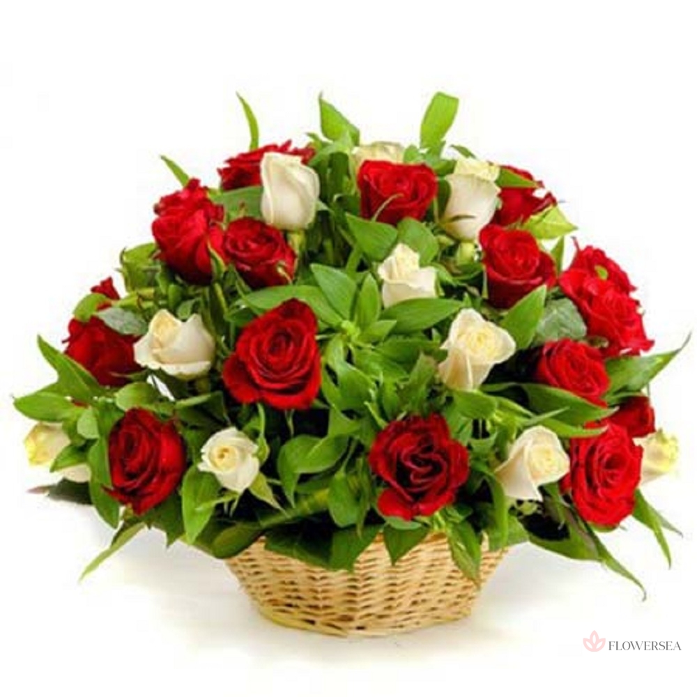 ����� � 25 ������